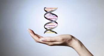 چرا باید تست سلامت ژنتیکی بر پایه DNA را انجام داد؟