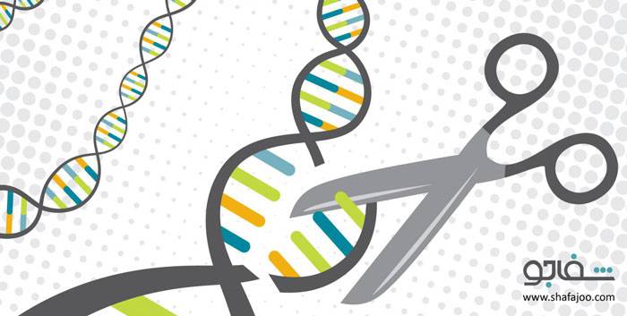 بیماریهای نقص ایمنی - Immunodeficiency diseases