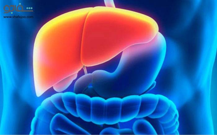 سرطان کبد (هپاتوما) - Hepatoma