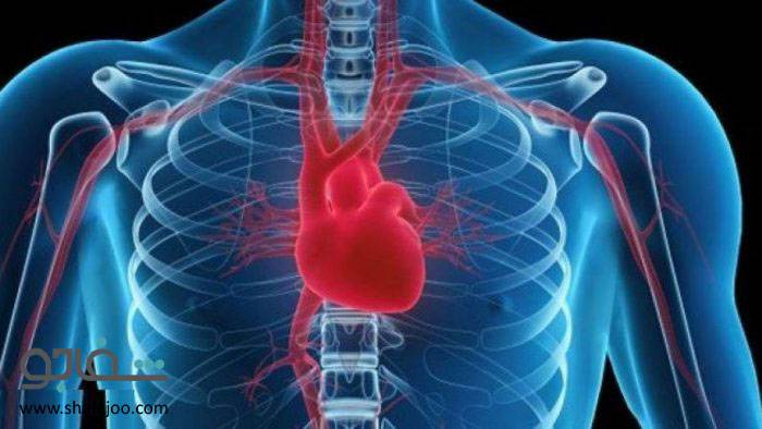 بلوک قلبی - Heart block