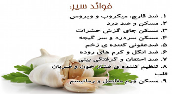 فوائد سیر