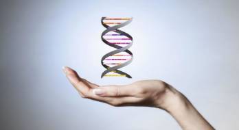 چرا باید تست سلامت ژنتیکی بر پایه DNA را انجام داد؟ چرا باید تست سلامت ژنتیکی بر پایه DNA را انجام داد؟