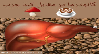 درمان کبد چرب با قارچ گانودرما درمان کبد چرب با قارچ گانودرما