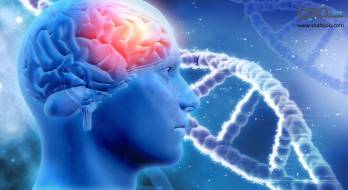 تومور مغزی - brain tumor تومور مغزی - brain tumor