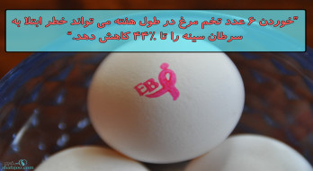 تخم مرغ و کاهش خطر ابتلا به سرطان سینه تخم مرغ و کاهش خطر ابتلا به سرطان سینه