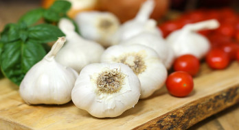 با قاتل سرما خوردگی اشنا شوید! با قاتل سرما خوردگی اشنا شوید!