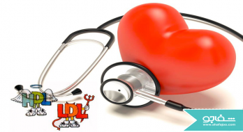 چگونه کلسترول خوب (HDL) را افزایش دهیم؟ چگونه کلسترول خوب (HDL) را افزایش دهیم؟