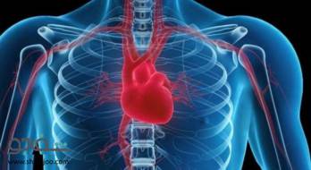 بلوک قلبی - Heart block بلوک قلبی - Heart block