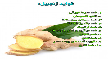 فوائد زنجبیل