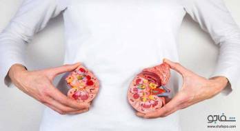 بیماری مزمن کلیه (CKD) چیست؟ بیماری مزمن کلیه (CKD) چیست؟