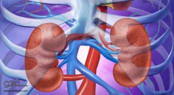 علائم هشدار دهنده بیماری کلیه (بیماری مزمن کلیوی - CKD ) علائم هشدار دهنده بیماری کلیه (بیماری مزمن کلیوی - CKD )
