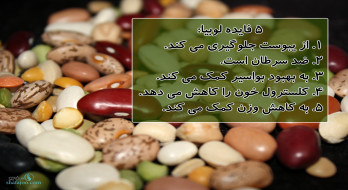 5 فائده لوبیا 5 فائده لوبیا